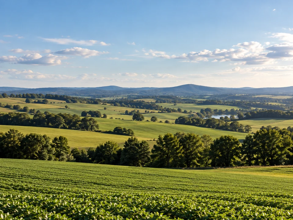 Área rural
